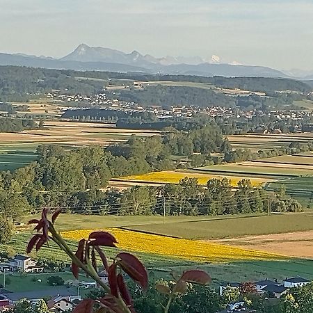 Bed and Breakfast Swiss Borzoi House Vully-les-Lacs Esterno foto