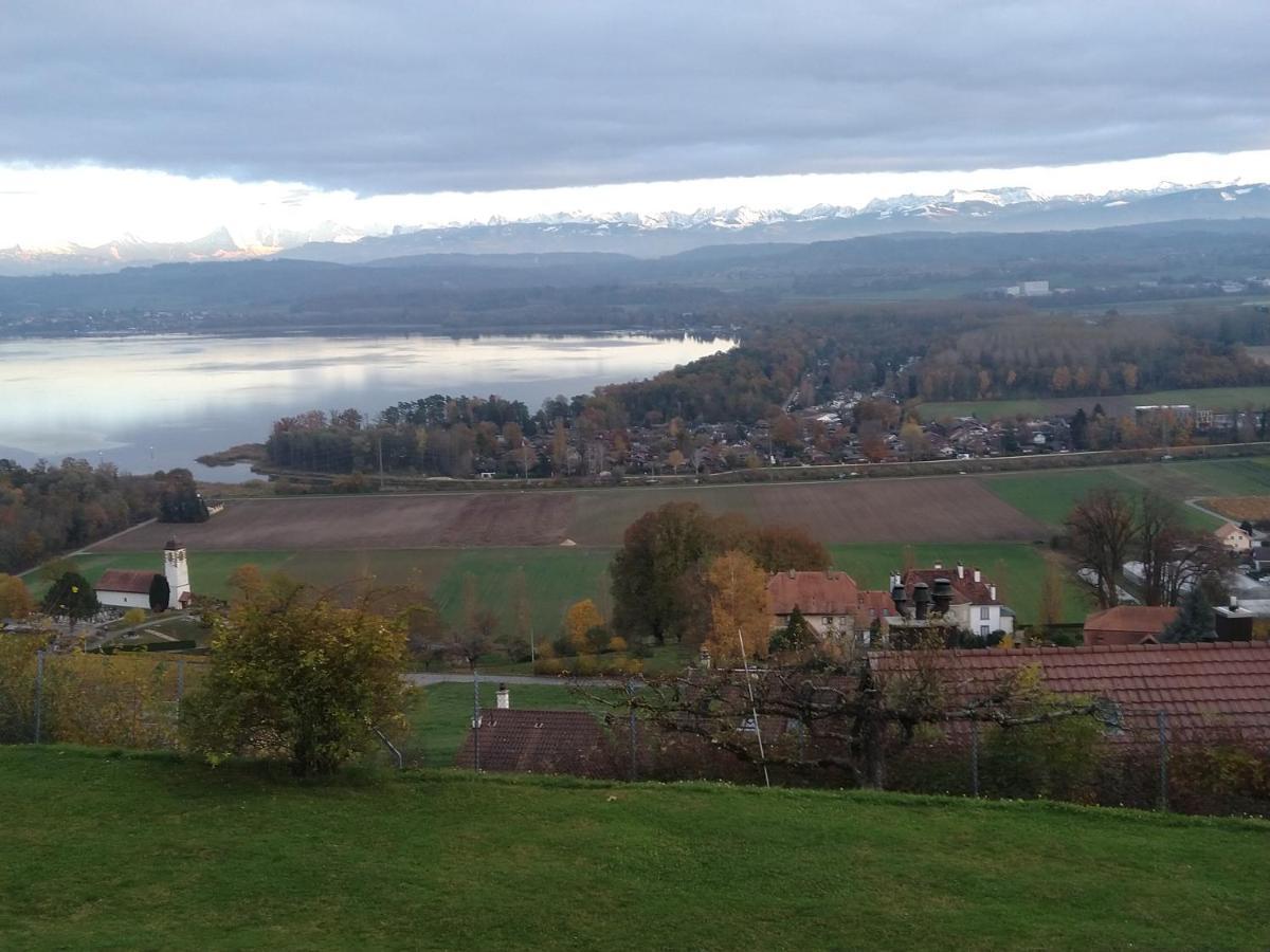 Bed and Breakfast Swiss Borzoi House Vully-les-Lacs Esterno foto