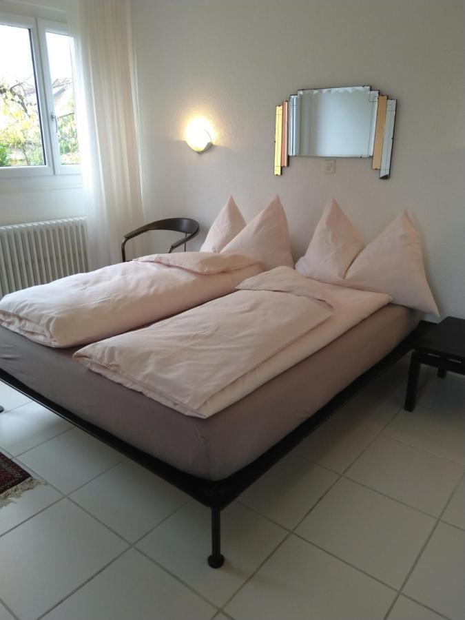 Bed and Breakfast Swiss Borzoi House Vully-les-Lacs Esterno foto