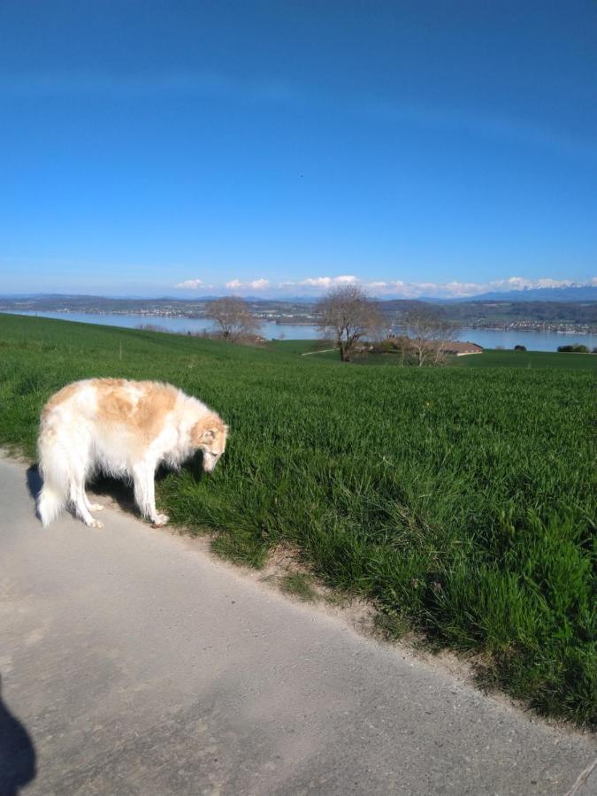 Bed and Breakfast Swiss Borzoi House Vully-les-Lacs Esterno foto