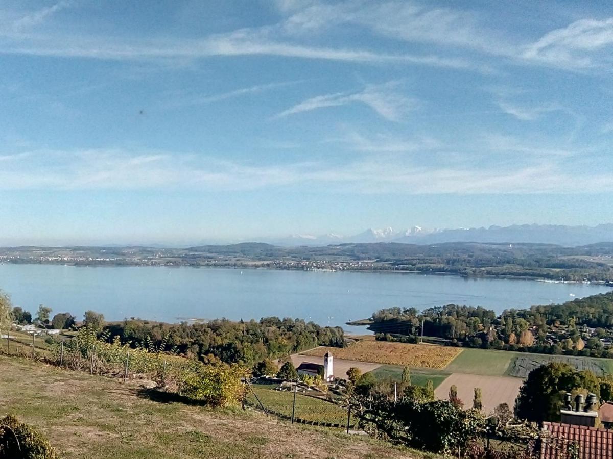 Bed and Breakfast Swiss Borzoi House Vully-les-Lacs Esterno foto