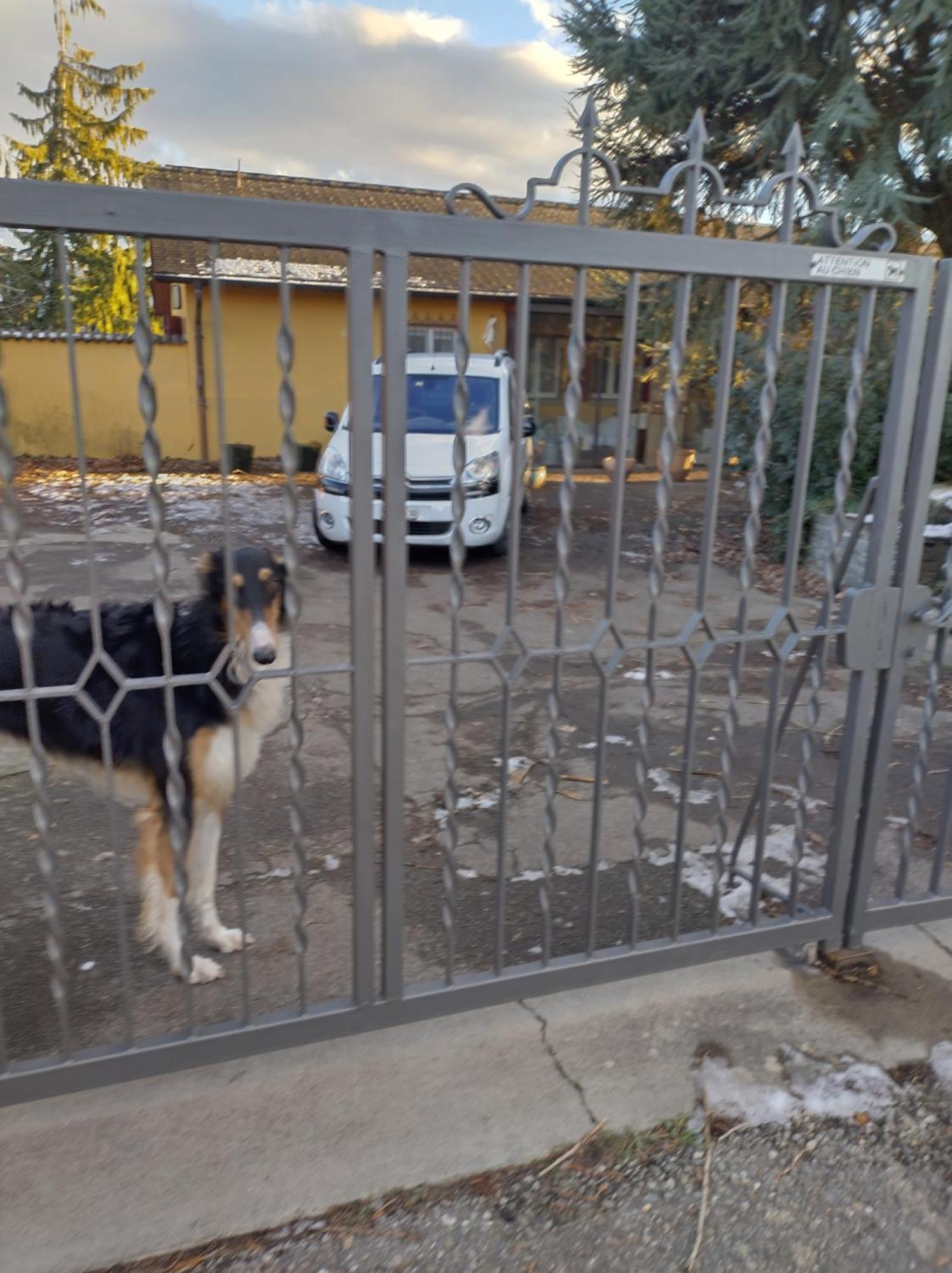 Bed and Breakfast Swiss Borzoi House Vully-les-Lacs Esterno foto