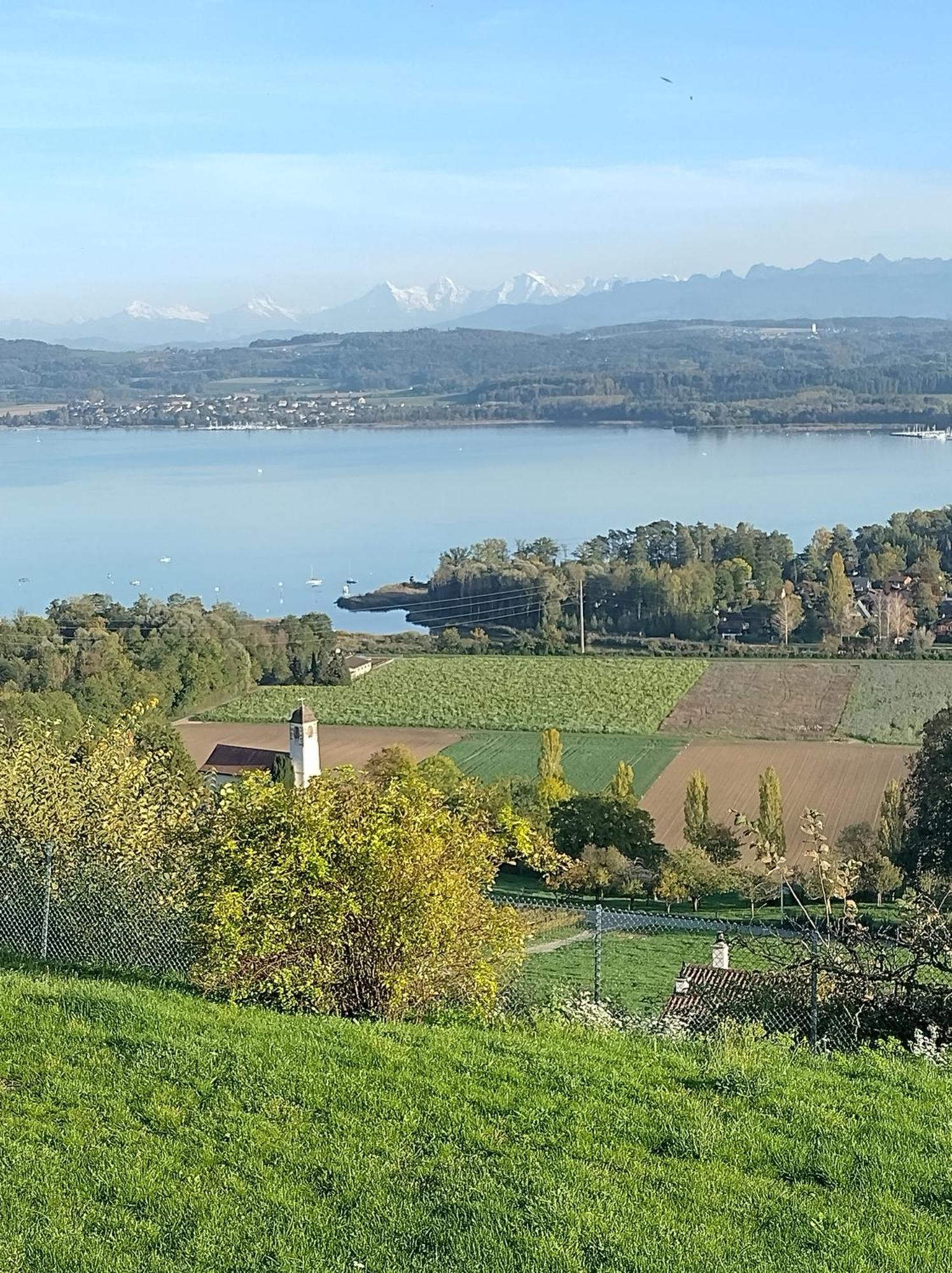 Bed and Breakfast Swiss Borzoi House Vully-les-Lacs Esterno foto