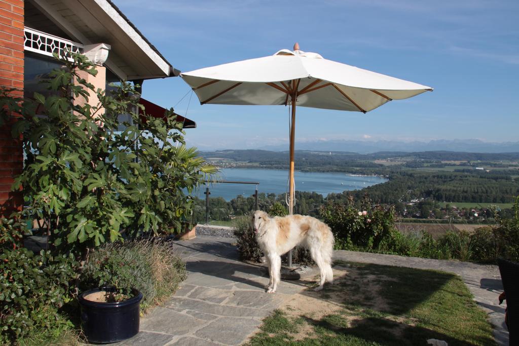 Bed and Breakfast Swiss Borzoi House Vully-les-Lacs Camera foto