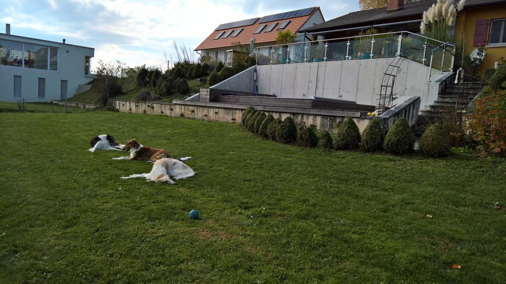 Bed and Breakfast Swiss Borzoi House Vully-les-Lacs Esterno foto