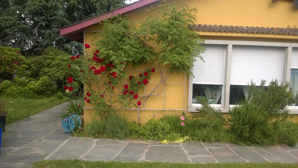 Bed and Breakfast Swiss Borzoi House Vully-les-Lacs Esterno foto