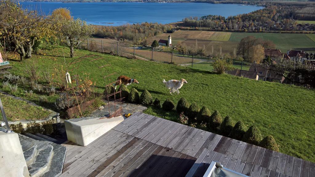 Bed and Breakfast Swiss Borzoi House Vully-les-Lacs Esterno foto