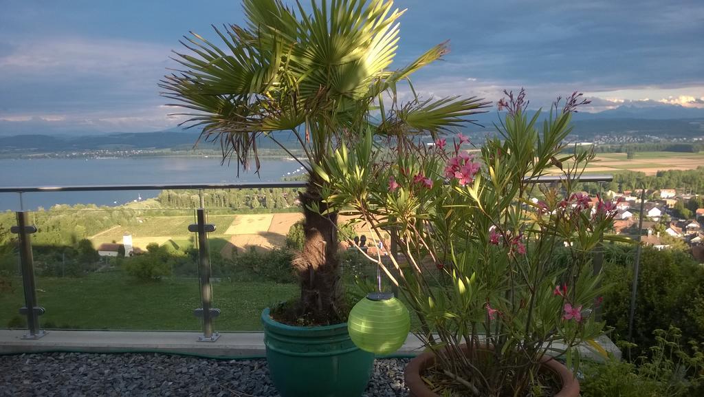 Bed and Breakfast Swiss Borzoi House Vully-les-Lacs Esterno foto