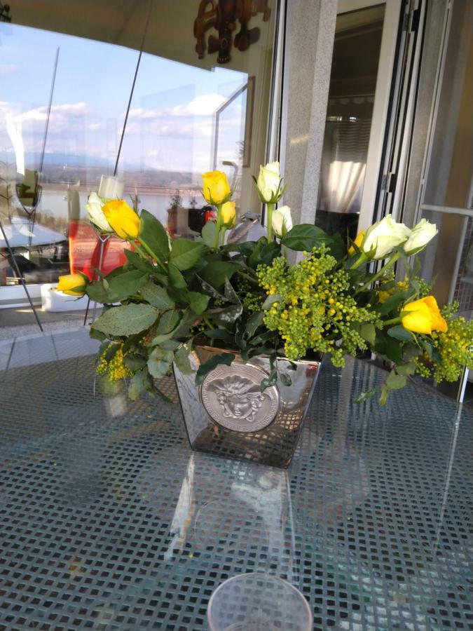 Bed and Breakfast Swiss Borzoi House Vully-les-Lacs Esterno foto