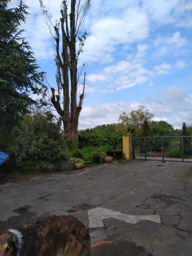 Bed and Breakfast Swiss Borzoi House Vully-les-Lacs Esterno foto