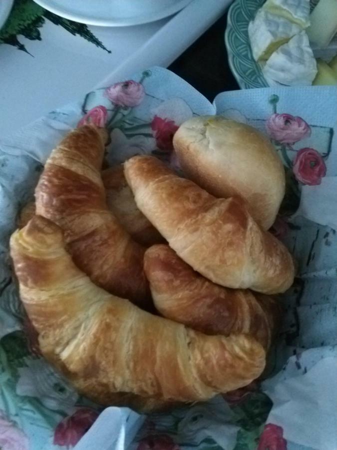 Bed and Breakfast Swiss Borzoi House Vully-les-Lacs Esterno foto